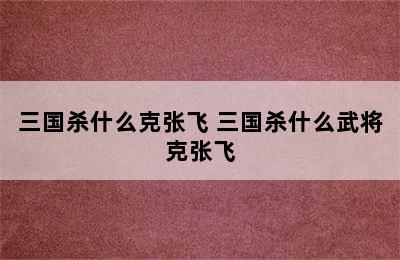 三国杀什么克张飞 三国杀什么武将克张飞